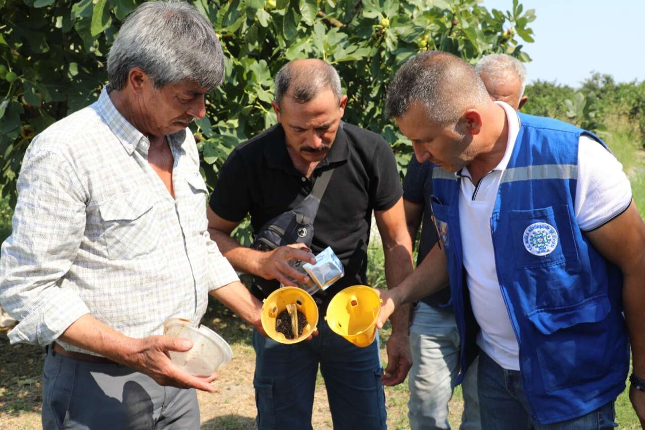 Muğla’da Üreticiyi Koruyacak Mücadele Başladı 2